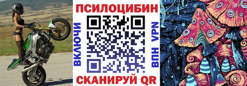 наркота  ссылка на мегу сайт  Псилоцибиновые грибы Cubensis  Сясьстрой 